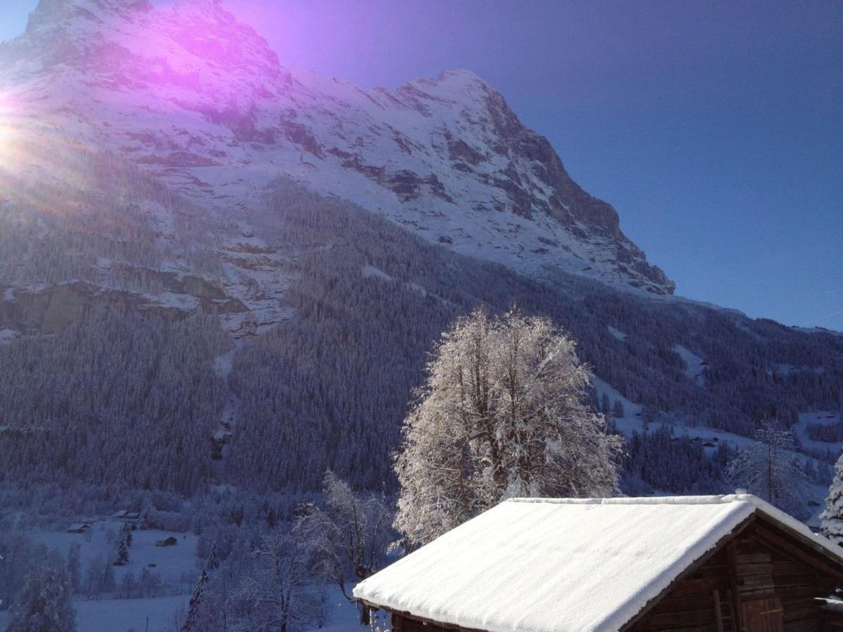 Apartment Chalet Bärgsunna-4 Grindelwald Exterior foto